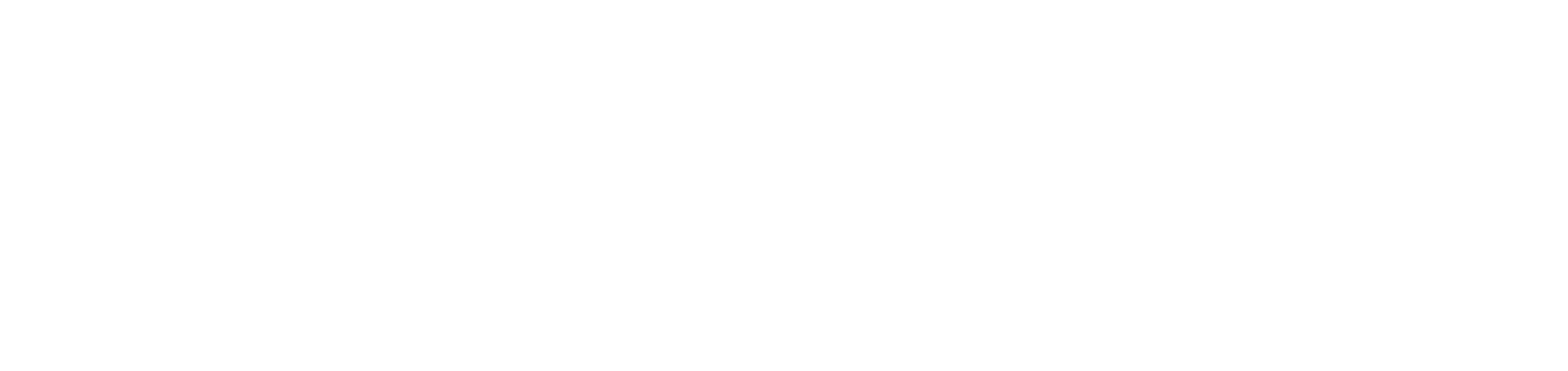 Primary Logo (Light)